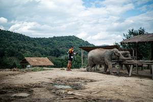 BIB: 
                            <button type="button" onclick="openModal(22424115)" class="btn btn-primary btn-sm float-right btn-popup" data-toggle="modal" data-target=".modal-high-quality">
                        <i class="fas fa-shopping-cart"></i> Add to Cart
                    </button>
                                            <button type="button" onclick="isThisMe(22424115, true)" class="btn btn-success btn-sm float-right btn-popup btn-isme hidden" data-toggle="tooltip" data-placement="bottom" title="นี่คือรูปของคุณใช่ไหม คลิกที่นี่เพื่อเอาเข้าอัลบั้ม">
                        <i class="fas fa-plus"></i> Add to album
                    </button>
                    <button type="button" onclick="isThisMe(22424115, false)" class="btn btn-warning btn-sm float-right btn-popup btn-isnotme hidden">
                        <i class="fas fa-ban"></i> Remove from album
                    </button>